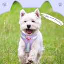 No Pull Dog Harness and Leash Set,Adjustable Dog Vest Harness for Small Medium Large Size Dogs,Breathable and Soft Escape-Proof Puppy Harness with 2 Buckles (Purple)