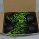 Der Rose Fake Plants 4 Packs Artificial Plants Small Faux Plants Black Bathroom Accessories for Halloween Bathroom Home Kitchen Coffee Table Office Desk Decor Indoor (Green)