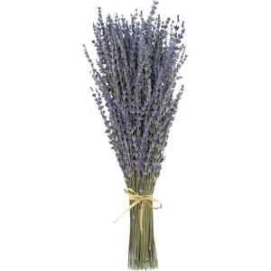Dried Lavender Bunches 100% Fresh Natural Purple Bouquet Flowers for Bathroom Photo Props Crafts Decoration, 15-17" for Shower Weeding Vase Decor, Home Fragrance(200-220 Stems(100g/3.5oz Total))