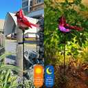 Cardinal Garden Stakes Solar Birds Lights Decorations Outdoor Waterproof, Decorative Solar Fence Pathway Lights Outdoor Garden, Cardinal Outside Patio Backyard Valentine's Day Decor