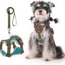 Small Dog Harness and Leash Set, Breathable Mesh Puppy Harness, Adjustable Dog Harness for Small Medium Large Dogs, No-Pull Pet Harness for Daily Walking (Lakeblue, Small)
