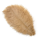 Fluffy Big Ostrich Feathers Natural Ostrich Feather Plumes 15-35CM for Wedding Table Centerpieces Carnaval Party Decoration, 6pcs Ostrich Feathers 10"