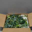 6Ft Eucalyptus Garland, Upgrade Bushy Artificial lvy Greenery Vines with Flower Gypsophila Willow Leaves for Home Wedding Arch Party Table Runner Centerpiece Decor (2pcs)