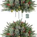 2 Pack 24 Inch Lighted Outdoor Christmas Tree with Lights, Battery Operated Pre-lit Pathway Urn Filler, Christmas Porch Decorations for Home, Porch & Yard