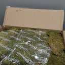 SuperMoss (21588) Sheet Moss Preserved, Natural, 5 Pounds (20-24 sq. ft.)