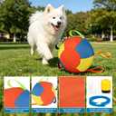 10-Inch Jumbo Dog Ball - Durable & Tear-Resistant Inflatable Toy for Exercise & Play, Perfect for Herding with Heavy-Duty Handle Cover & Pump - Fun Giant Tennis Ball for Dogs1pcs