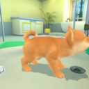 My Universe: Puppies and Kittens - PlayStation 4