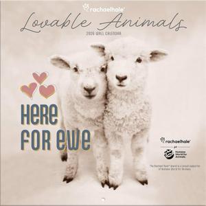 Turner Licensing, Rachael Hale Loveable Animals 2026 Wall Calendar