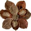 Briful 10 Large Heads Christmas Glitter Magnolia Flowers Christmas Tree Ornaments Set of 3 Artificial Flowers with Picks Stems for Xmas Tree Holiday Decorations, Bronze