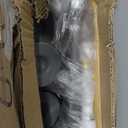 Toilet Safety Rails, Adjustable Toilet Frame for Elderly, Seniors, Handicap & Disabled, Foldable Handicap Toilet Handles Fit Any Toilets (300 LB) (Gray)