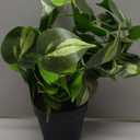 Fake Pothos Hanging Plants Artificial Ivy Vines with Pots - Realistic Indoor Greenery Decor, Low Maintenance Faux Home Decoration (1 PCS)