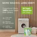 Good Natured Brand | Pet Stain & Odor Remover for Laundry | Pet Laundry Detergent for Dogs Beds, Cat Pee, Smell, Dog Drool | Hypoallergenic & Non-Toxic | Peppermint | 47oz 94 Loads (47 Ounce (Pack of 1))