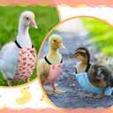 DoubleFill 6 Pcs Chicken Diapers for Indoor Chickens Reusable Washable Duck Diapers with Bowtie Adjustable Ducklings Pet Poultry Potty Training Clothes for Rooster Chicken Geese(Cute,M)