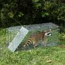 Humane Way Folding 32 Inch Live Humane Animal Trap - Safe Traps for All Animals - Raccoons, Cats, Groundhogs, Opossums - 32" L x 10.2" W x 12.2" H