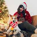 2 x JaGely 2 Pieces Christmas Dog Knitted Scarf Holiday Cute Scarf for Small Medium Cat Xmas Winter Dog Bandanas Decor for Pet(Red and White, Red and Green,Striped)