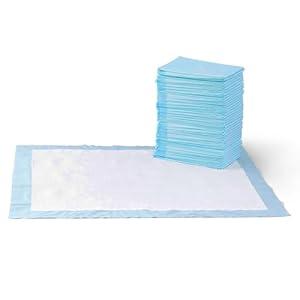 Basics LeakProof Dog and Puppy Potty Training Pee Pads with QuickDry 5Layer Design, XLarge Size 28 x 34 Inch, Blue & White, 40Pack