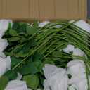 Ouddy Decor 100 Pcs Artificial White Roses Bulk Realistic Fake Silk Flowers with Long Stems for Wedding Bridal Bouquet DIY Table Centerpieces Arrangement Valentines Home Decor (100 Packs)