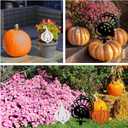 Weysat 3 Pcs Thanksgiving Turkey Metal Yard Decorations Thanksgiving Turkey Pumpkin Gourd Garden Stakes Fall Metal Yard Decorative Signs for Autumn Outdoor Lawn Patio Garden Decor