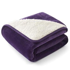 Bedsure Waterproof Dog Blankets for Small Dogs - Small Cat Blanket Washable for Couch Protection, Sherpa Fleece Puppy Blanket, Soft Plush Reversible Throw Furniture Protector, 25"X35", Eggplant