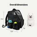 Pet Backpack for Cats & Small Dogs, Collapsible Travel Carrier with Ventilated Mesh, Removable Pad, and Safety Leash, Black