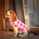 ASENKU Dog Sweater, Plaid Dogs Fleece Vest, Soft Comfortable Pet Pajamas, Warm Winter Puppy Shirt, Cold Weather Coat Jacket Pet Clothes for Small & Medium Dog Breeds