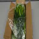 20 Bundles Artificial Plants Outdoor Fake Monkey Grass with Flowers (White)