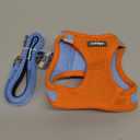 rabbitgoo Dog Harness Small Sized and Leash Set, Step in Soft Light Puppy Vest, Breathable Mesh Pet Harness, Reflective for Safe Easy Walking, Blue & Orange XS (XS (Chest: 13.3 - 15.5"))