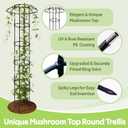 Garden Trellis for Climbing Plants Outdoor - Unique Mushroom Top Round Trellis for Indoor Potted Plant - 64" Tall Rustproof PE Coated Metal Pipe Obelisk Support Ivy Vine Rose Grape Vegetable