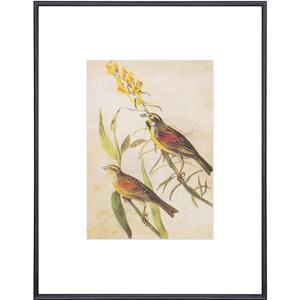 Fkvat 9x12 Picture Frame, Black Modern Thin Aluminum Metal Photo Frame with HD Glass, Fits 6x8 with Mat or 9 x 12 without Mat, for Tabletop and Wall Mounting, 1 Pack