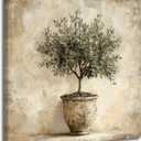 Olive Tree in Vessel Rustic Canvas Wall Art Neutral Botanical Wall Decor Pictures Antique Vintage Potted Plant Poster Prints for Farmhouse Kitchen Dining Room Home Decoration 12x12in Ready to Hang