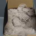 Ultra Soft Cozy Faux Fur Throw Blanket, Fuzzy Plush Thick Bubble Blanket, Oversize Luxury Fluffy Blanket for Couch, Sofa, Bedroom, and Living Room, 50x60 Inches, Light Brown