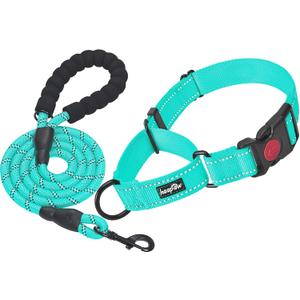 haapaw Martingale Dog Collar with Quick Release Buckle Reflective Dog Training Collars for Medium Dogs (Turquoise)