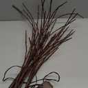 Birchlitland Lighted Brown Branches 32IN 100 LED with Timer Battery Operated, Artificial Tree Branch with Warm,Willow Branch Lights for Home Bedroom Fireplace Christmas Holiday Decoration