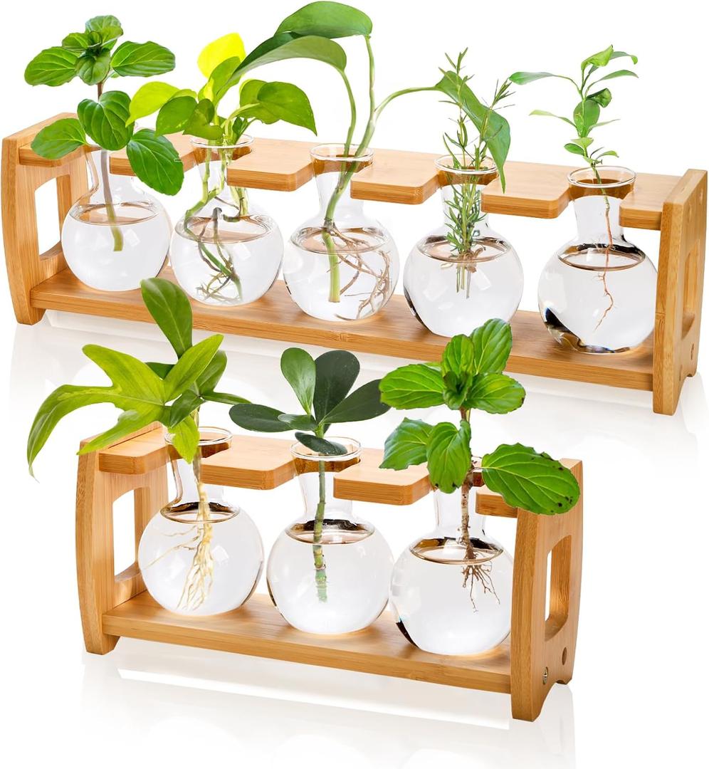 2 Pack Propagation Stations with Bamboo Stand, 8 Bulbs Desktop Water Plant Terrarium Vase, Retro Plant Propagation Jars for Indoor Plants, Glass Planter Gifts for Home Office Table Decor