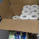 Scott Rapid-Dissolving Toilet Paper, 12 Double Rolls, Septic-Safe, Toilet Paper