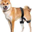 CHAMIN Dog Hip Brace  Support Harness for Hip Dysplasia, Joint Pain Relief, Prevents Hip Joint Issues, Orthopedic Support for Dogs(Large)