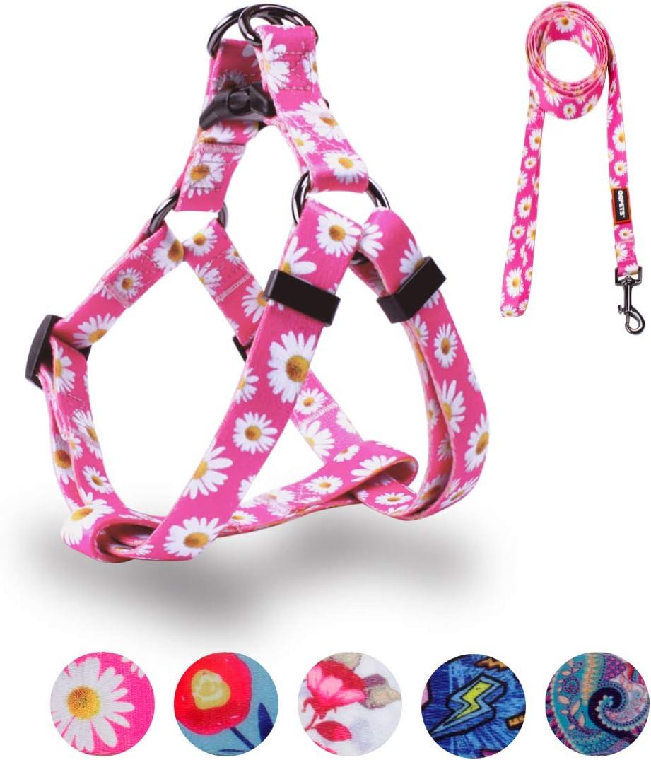 QQPETS Dog Harness Leash Set Adjustable Heavy Duty No Pull Halter Harnesses for Dogs Back Clip Anti-Twist Perfect for Walking (S(14"-20" Chest Girth), Daisy)