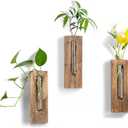 Walasis Wall Hanging Glass Planter Tubes - Propagation Station for Indoor Plants Hydroponic Plant Cuttings - Planters Gifts for Mom Wife Women Friend