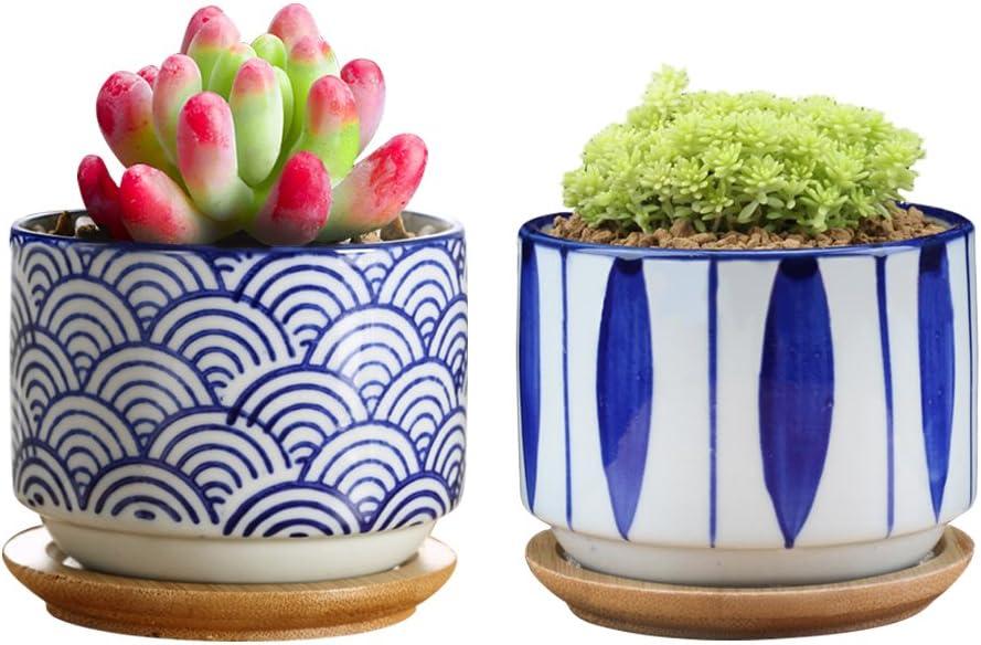 GeLive 3 Inch Ceramic Succulent Planter, Cactus Plant Pot, Flower Container with Bamboo Drip Tray, Indoor Outdoor, Set of 2 (Wave and Blue Flower)