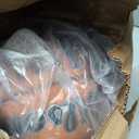 WILSON NBA Forge Indoor/Outdoor Basketball - Brown, Size 7-29.5"
