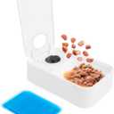 ALL FOR PAWS Timed Dog Feeder with Ice Pack  1 Meal | Automatic Pet Food Dispenser | Portion Control | Keep Fresh | Ideal for All Dog Breeds (1 Meal)