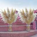 40pcs 40'' Pampas Grass Tall Decor - Pompas Floral, Tall Pampas Grass for Floor Vases, Living Room Floor, Floor Plants, Plumas para, and Grass Wall Decor