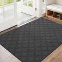 BEQHAUSE Dirt Trapper Door Mat 32" x 48", Non-Slip Washable Doormats Welcome Mat, Dirt Resistant and Absorbent Entrance Mat, Low Profile Floor Mats for Front Back Door, Entryway, Dark Grey