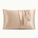 Cobnom Pure Mulberry Silk Pillowcases Set of 2, Standard Size with Zipper - Grade-6A 19 Momme, 600 Thread Count Soft Smooth Cooling, Hair and Skin Friendly (Gray, 20x26 Inch)