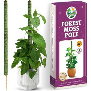 DUSPRO 42" Mesh Moss Pole for Climbing Plants, Natural Moss Pole Monstera Plant Support, Real Moss Poles for Plants Indoor, Moss Stick for House Plants, Moss Stakes for Climbing Plants