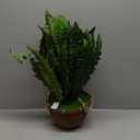 Nearly Natural 6599 18in. Boston Fern Artificial Plant in Hanging Basket, Green,29" x 29" x 18"