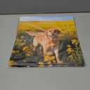 3 x 2026 Calendar, Wall Calendar 2026, Dogs 12 Month Wall Calendars (Jan - Dec 2026) 12" x 24" Opened, Hanging Monthly Calendar Thick Paper for Kids Family Adults Office Home