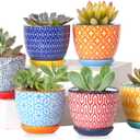 Selamica Ceramic 2.4 Inch Succulent Pots, Mini Flower Pots for Cactus Plant with Drainage Holes & Saucers, Home Decor, Set of 6, Assorted Colors