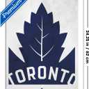 Trends International NHL Toronto Maple Leafs - Logo 25 Wall Poster, 22.4L x 14.7W, White Framed Version