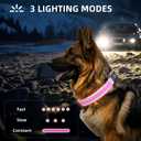 PetIsay LED Dog Collar Metal Buckle - Heavy Duty Light up Collars - Rechargeable IP68 Waterproof - Lighted Dog Collar for Night Walking, Hiking, Camping (Large, Pink) (Large (19" - 23 "))